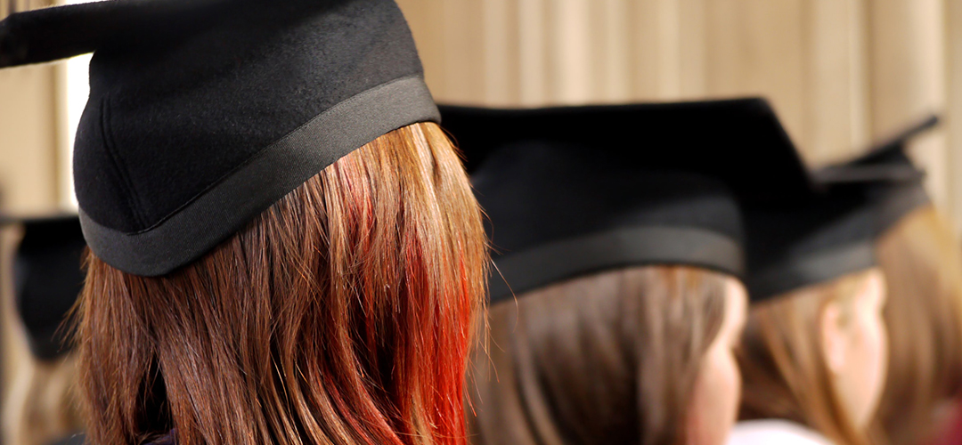 Stagiile în alt stat membru