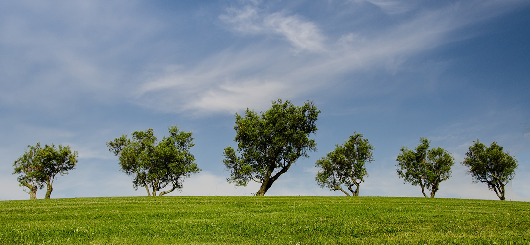 Certificate, etichete energetice și ecologice