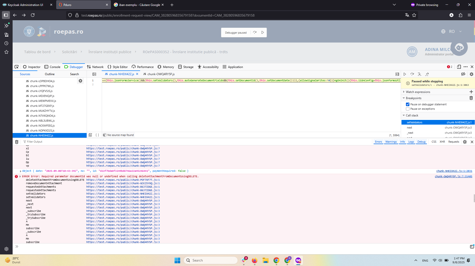 campuri pagina liferay test